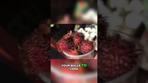 November 6, 2025 November 6, 2025