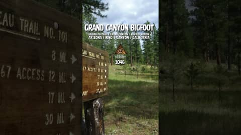 Raised on the Navajo Nation and shaped by years in remote national parks, Terry shares firsthand