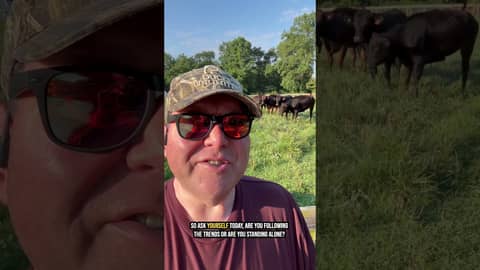 Why Chasing Trends Can Cost You Big!