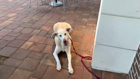 Spaulding Chilling Out