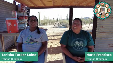 Generational Ancestral Knowledge