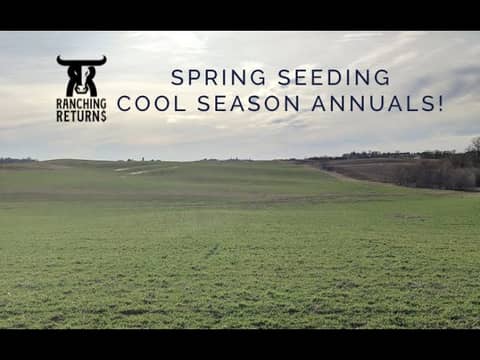 Spring Seeding Cool Season Annuals!