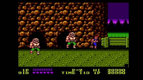 Finally finished Double Dragon!