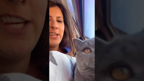 Never Buy or Lease Without Checking Property Taxes First Never Buy or Lease Without Checking Property Taxes First