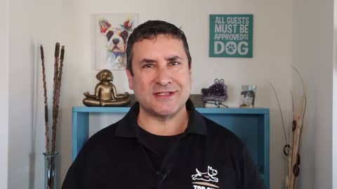 Dog Training in Huntsville, AL