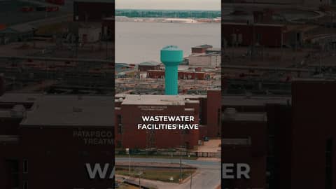 How Sewage Plants Protect the Chesapeake Bay