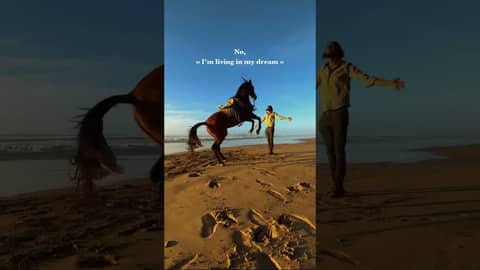 Am I dreaming or are we really galloping along the stunning shores of