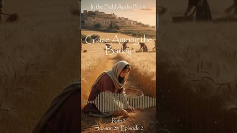 Grace Among The Barley: When Faithfulness Meets God's Favor