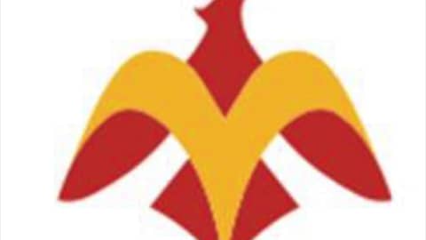 Episode 10 – Phoenix Concussion Recovery (Dysautonomia)