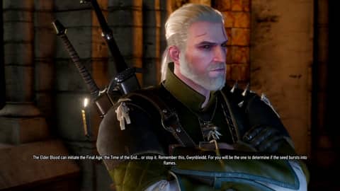 Witcher 3 - Drinking Scene