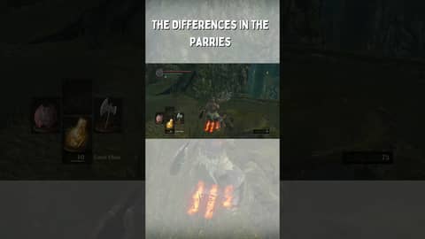 The Differences In The Parries #darksouls