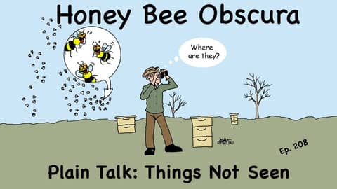 Plain Talk: Things Not Seen (208)