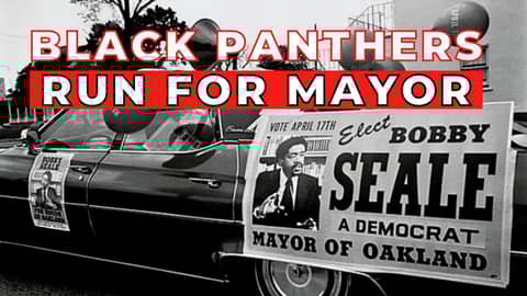 The Idea That RUINED the Black Panthers #onemichistory The Idea That RUINED the Black Panthers #onemichistory