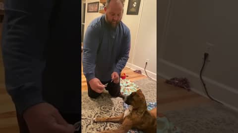 Ziggy picks the Packers/Rams game for Week 15 of the NFL Season