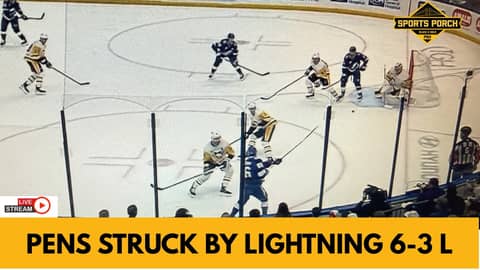 Pens torched by Lightning in Florida Pens torched by Lightning in Florida
