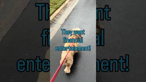Are you chasing financial gimmicks? #weeklywealthpodcast #wealthmanagement #cockapoo #cockapoos