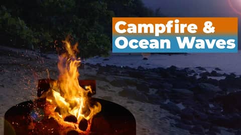 Campfire Sleep Sounds featuring Ocean Waves Crashing 🌊 Relaxing White Noise