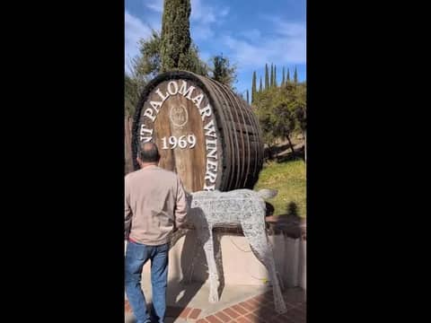 Wine Tasting In Temecula Wine Tasting In Temecula