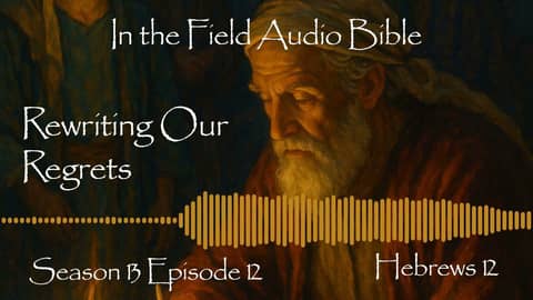 Rewriting Our Regrets: The Journey Through Wishes and Reality