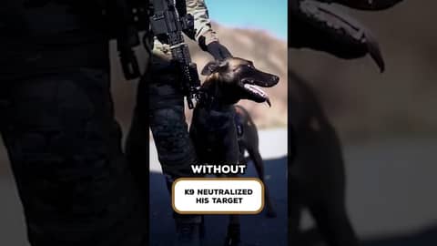Savage K9 Seal-Slams Man to the Ground Savage K9 Seal-Slams Man to the Ground