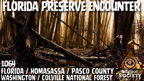 Florida Researcher’s Terrifying Bigfoot Encounters in Pasco County | Bigfoot Society 1064