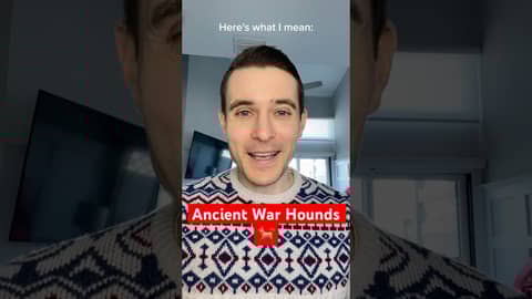 Ancient War Hounds 🐕 Ancient War Hounds 🐕