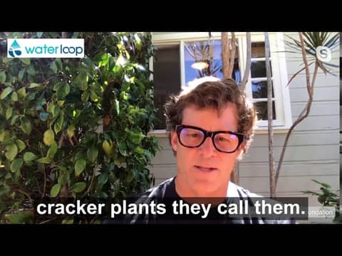 waterloop drops: Fossil Fuel Industry Producing Cheap Plastics waterloop drops: Fossil Fuel Industry Producing Cheap Plastics