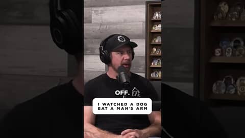 Military K9 Tore His Arm Off