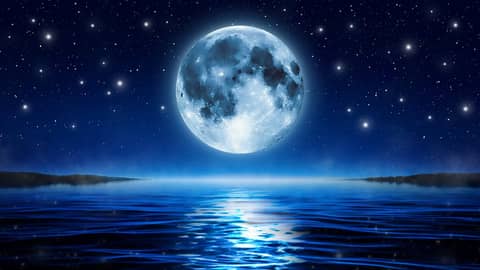 White Noise for Sleep Under the Moonlight | 10 Hour Sleep Sounds White Noise for Sleep Under the Moonlight | 10 Hour Sleep Sounds