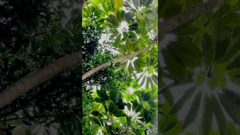 Raindrops Keep Falling on My Head!