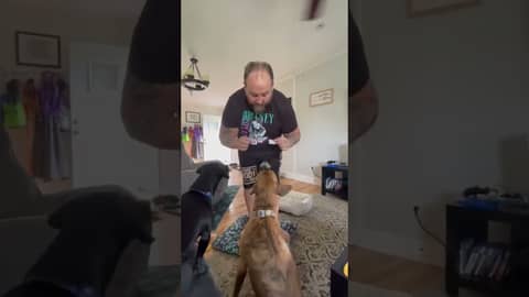 Ziggy Starpup picks the winner of the @nfl #week3 matchup between the @eagles and the @buccaneers