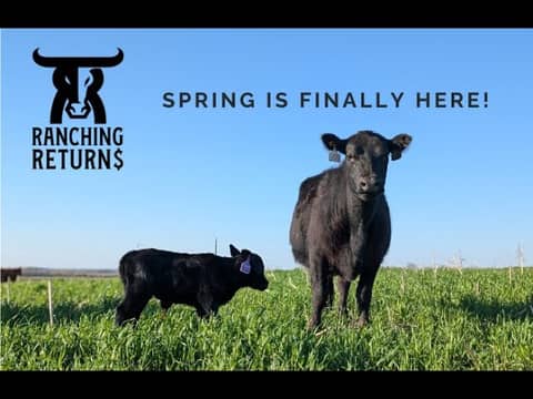 Spring Is Finally Here!