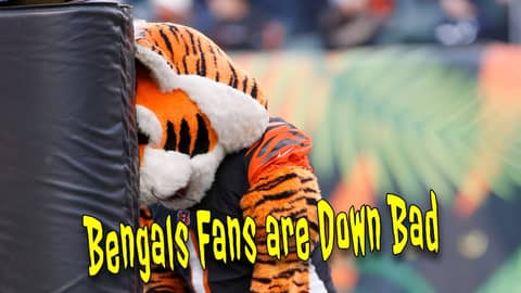 Bengals Fans are Down Bad Bengals Fans are Down Bad