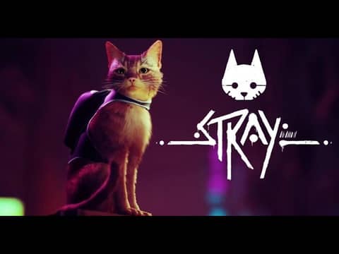 Stray