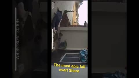 The most EPIC fall you have ever seen! #bloopers #epicfail #epicfall The most EPIC fall you have ever seen! #bloopers #epicfail #epicfall