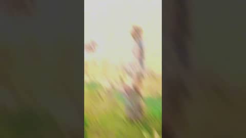 Ellyse Perry putting in the hard work 🏏