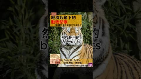 Formosa Files 中文版 Podcast CH11 經濟起飛下的動物悲歌－臺灣野生動物保育的不光彩過去  #formosafiles #podcast #臺灣 #歷史故事 #野生動物保護