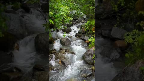 Peaceful Stream in Alaska | Enjoy a Breath of Relaxation! Peaceful Stream in Alaska | Enjoy a Breath of Relaxation!