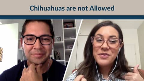 No Chihuahuas Allowed Avinnue Video