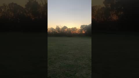 Engedi in regional NSW Australia is a top spot for a quiet hit of cricket 🏏