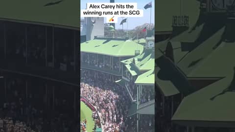 A 4-1 Ashes series Victory sealed by Alex Carey on day 5 at the SCG π A 4-1 Ashes series Victory sealed by Alex Carey on day 5 at the SCG π