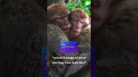 Science says we need 12 hugs a day for growth—are you getting enough? Science says we need 12 hugs a day for growth—are you getting enough?