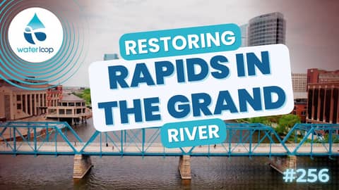 Restoring Rapids In the Grand River