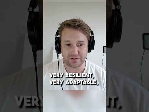 What do you learn from having a parent with a mental illness?