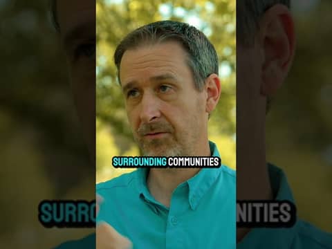 Revitalizing Horseshoe Lake Boosted Tourism and Recreation