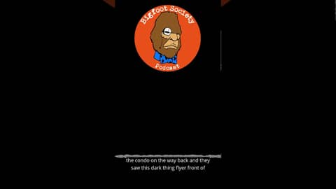 Patreon interview about Chicago Mothman with Lon Strickler from Phantoms and Monsters #shorts