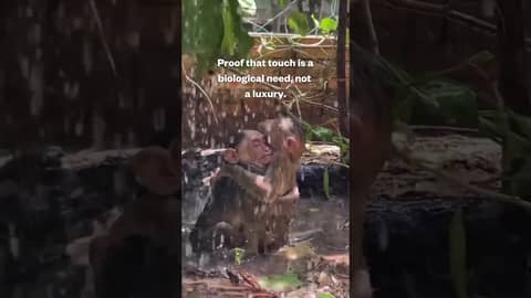 Physical Touch is a Biological Need