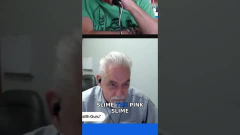 What’s Really in Your Pet’s Food? The Hidden Ingredients!