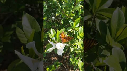 The Beautiful Things! #theknowingplace