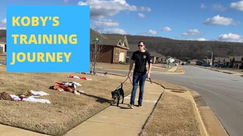 Koby's Training Journey